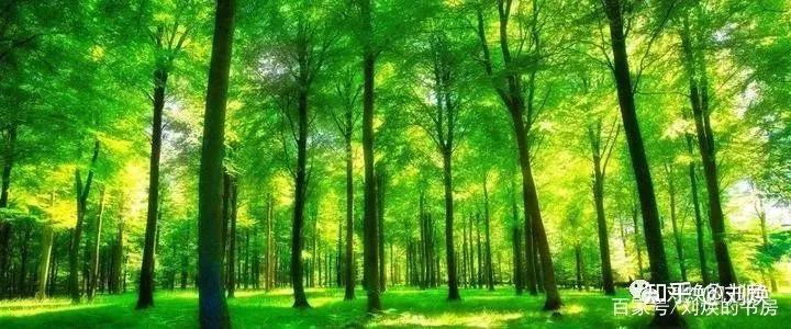 刘焕解读有趣的*党**史——焦裕禄累死累活，还的是宋徽宗的风流债