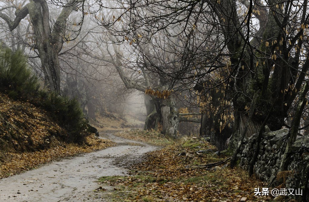 读庄子故事有感300字,庄子山木篇解读