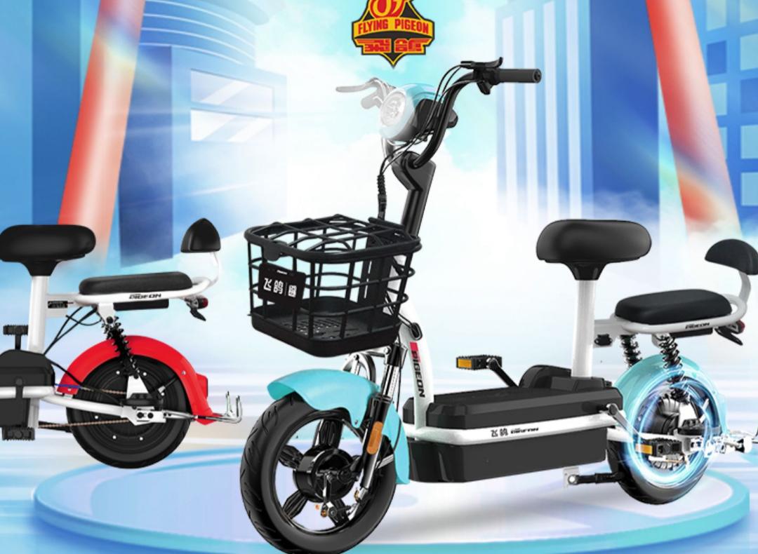 质量最好的十大电动车品牌排行榜,十大电动车脉冲充电器品牌排行榜