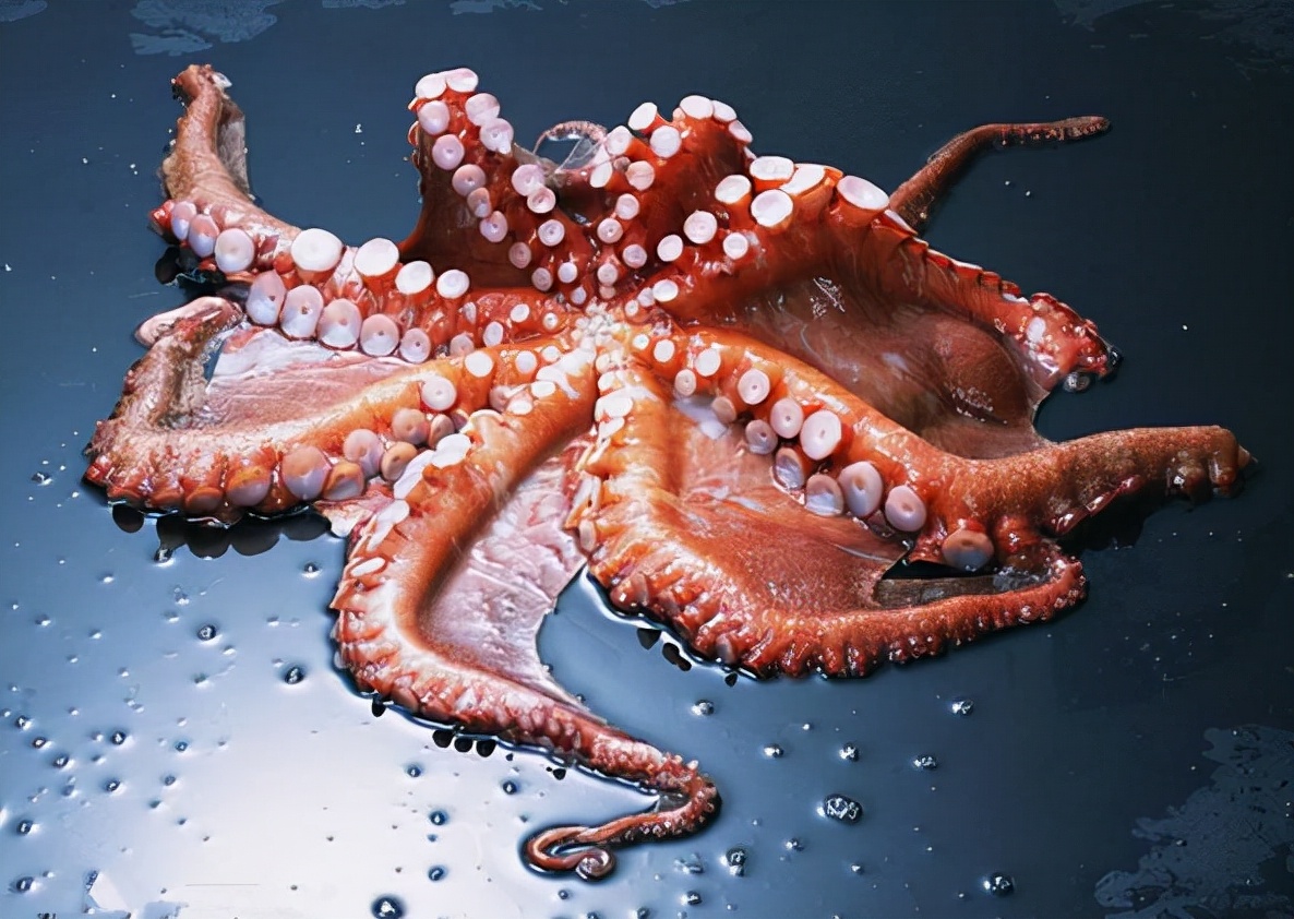 被砍掉的蛇头突然“复活”，屡次伤人，仅剩蛇头还能兴风作浪？