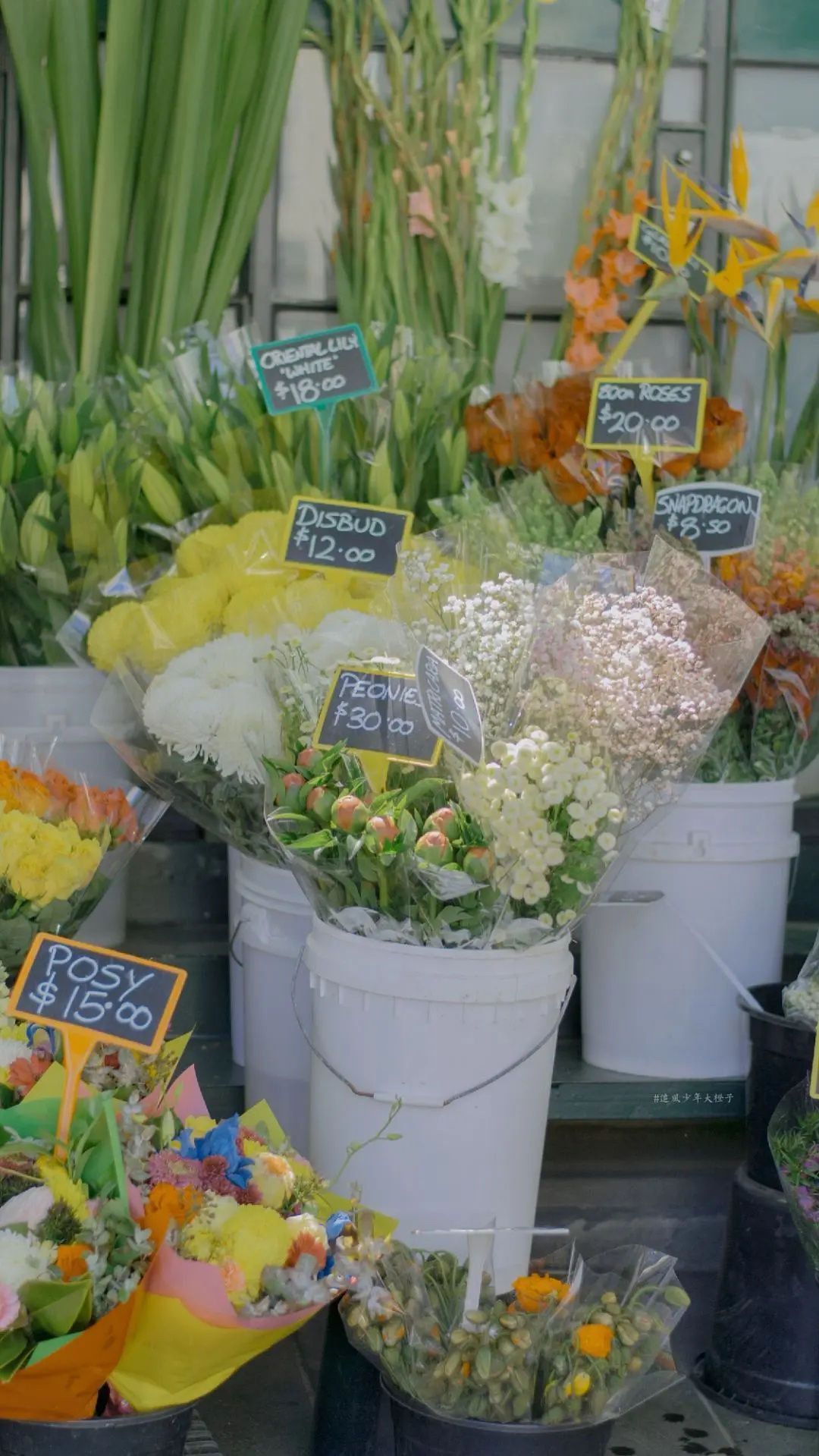 新年福禄寿喜财壁纸图片大全,平安喜乐诸事顺利岁岁平安壁纸