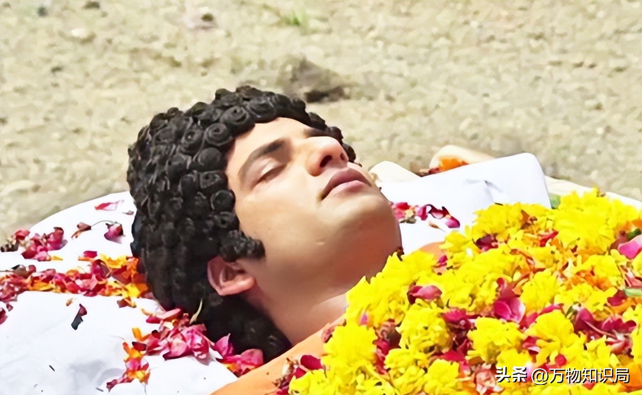 舍利子是高僧哪个部位形成的,高僧身体中的舍利子是如何产生的