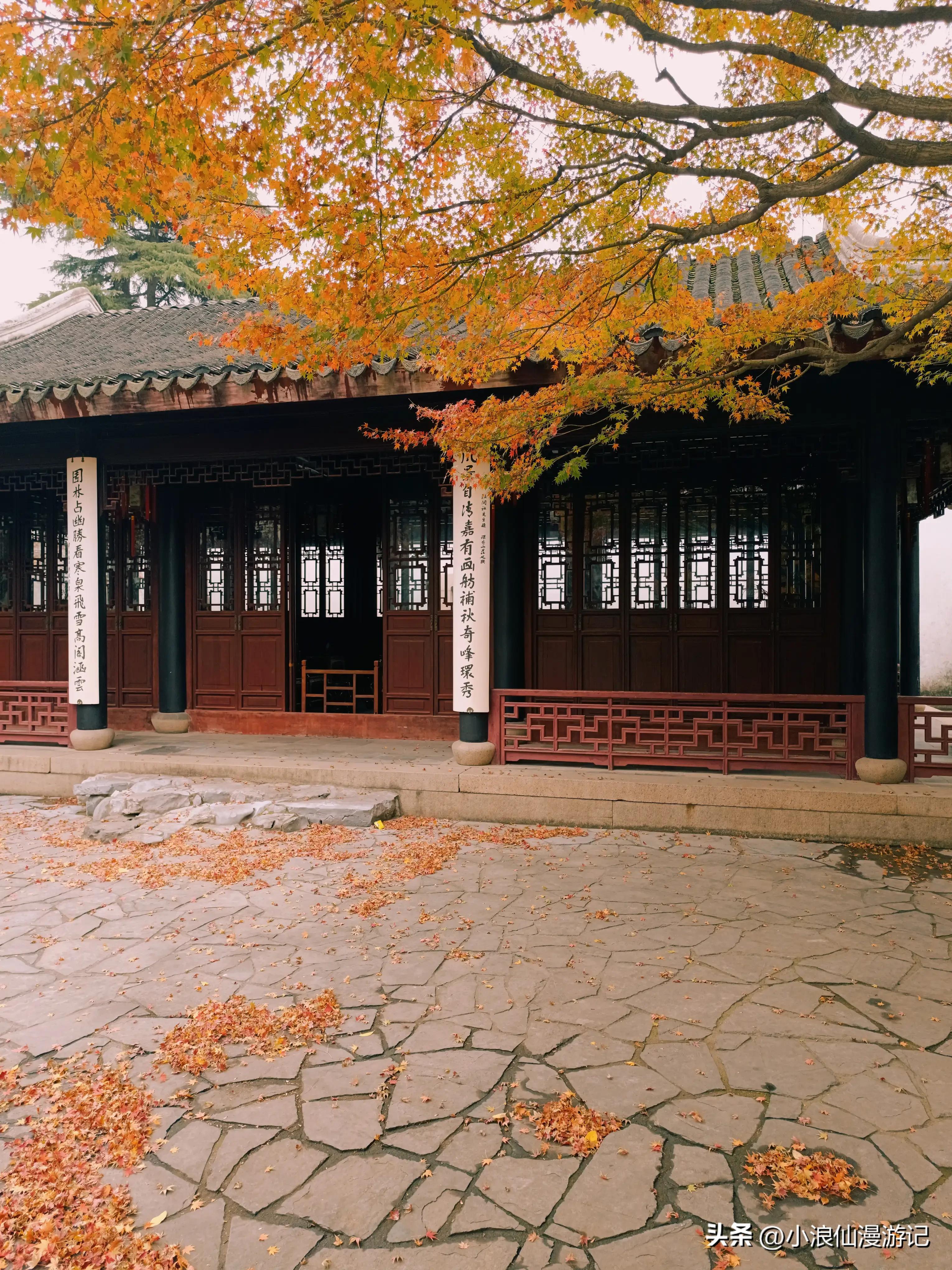 苏州天平山赏枫品茶的句子,苏州赏枫除了天平山还有哪