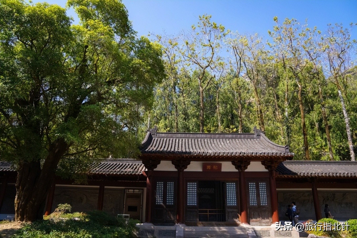 福建旅游攻略武夷山,福建武夷山旅游攻略一日游