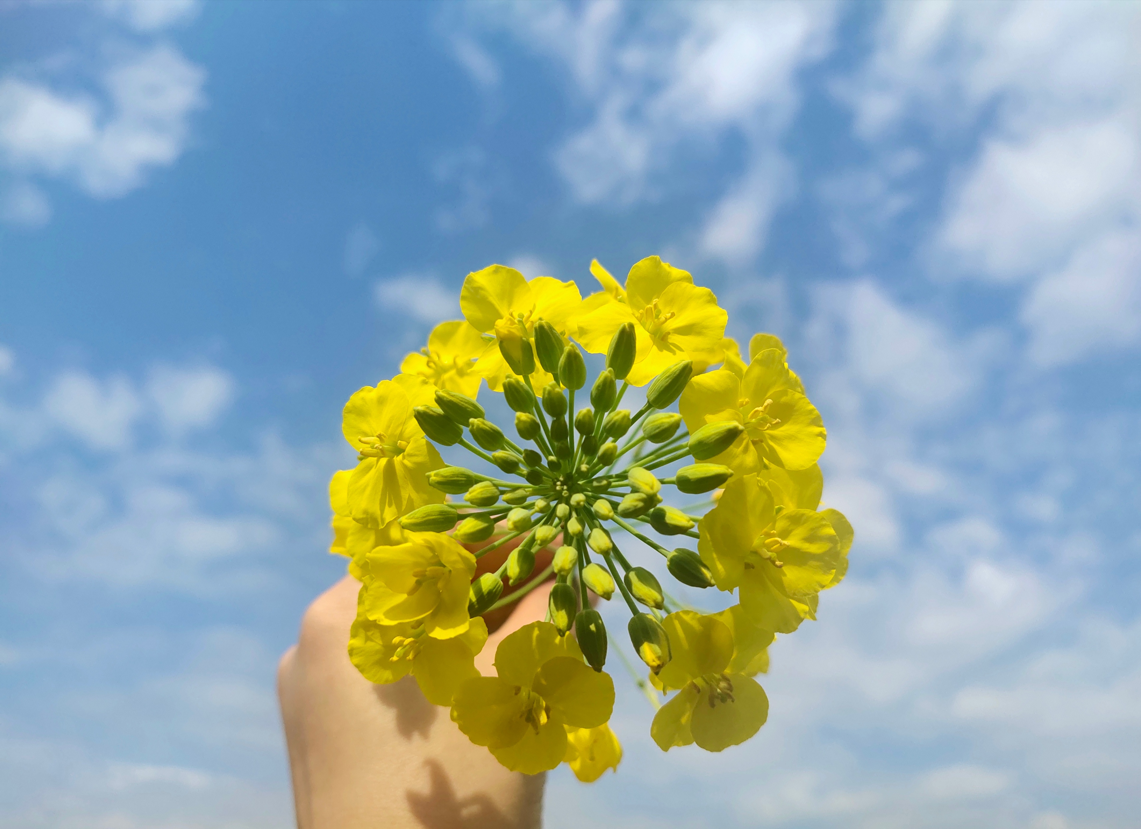 相亲见面两次可以发展到什么地步,同一个相亲对象介绍两次