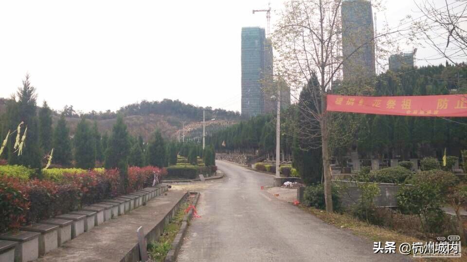 我眼中未来的城市,我眼中的未来科技城绘画