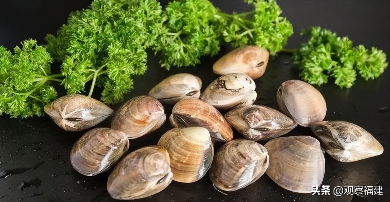 诏安秋天吃什么海鲜,福建各种海鲜图片大全