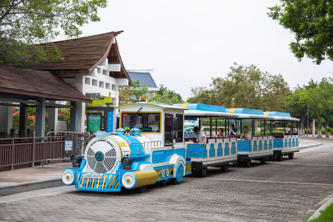 厦门可以看海的五星级酒店,去厦门旅游不住厦门的推荐