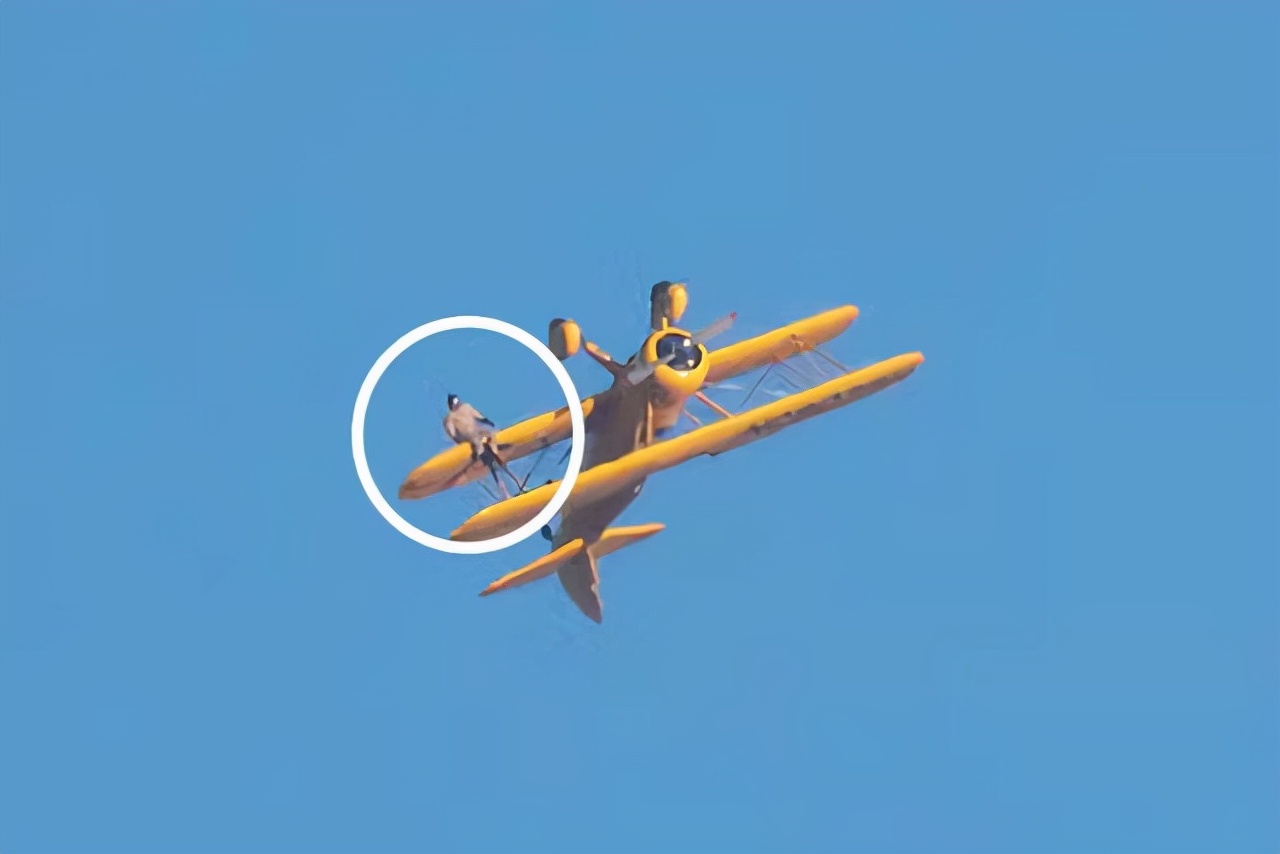 阿汤哥的爸爸是谁,阿汤哥的爹