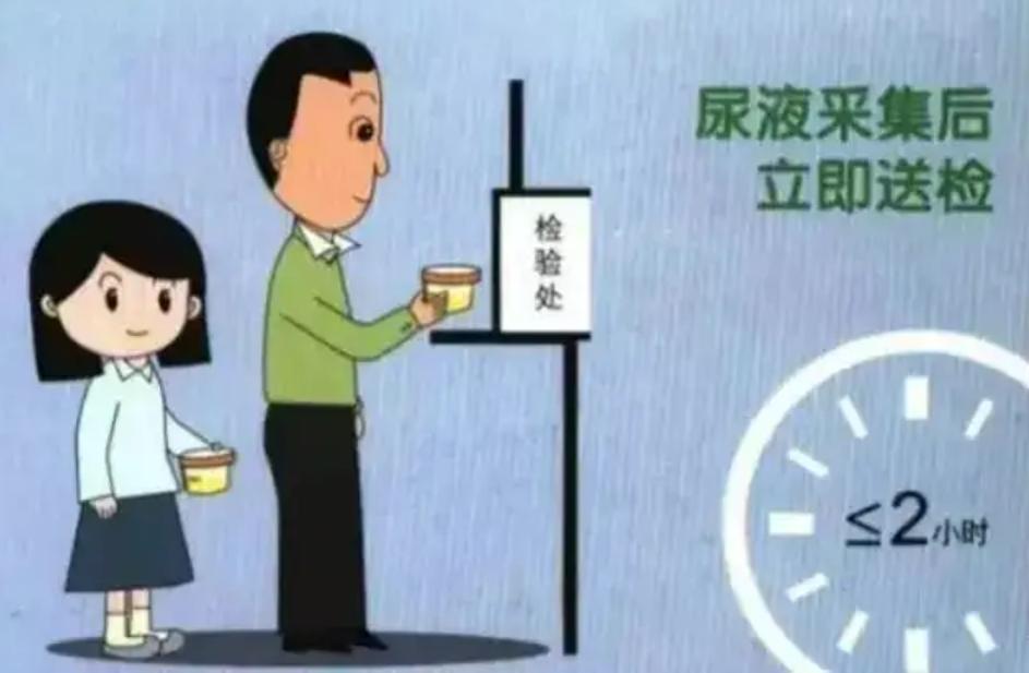 尿标本为何是晨尿,什么时段的尿液标本检查更准确