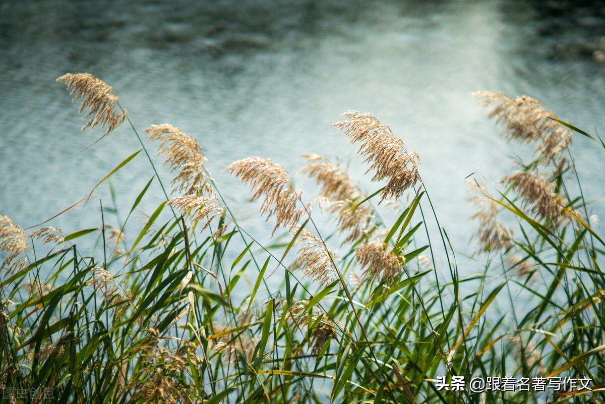 如何能让孩子学会写比喻句,怎样写出体现出活泼的句子