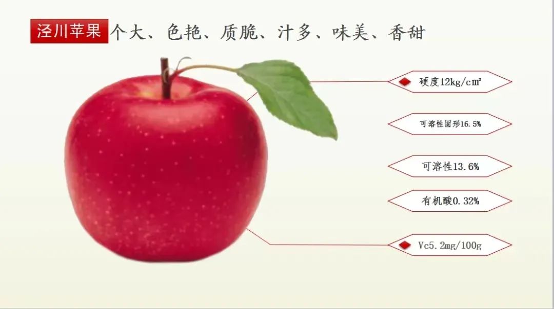 走进泾川吴焕先烈士纪念馆,平凉吴焕先