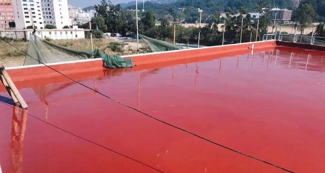 十年的楼房楼顶防水漏水谁来修,房屋漏水怎么补漏最有效的方法