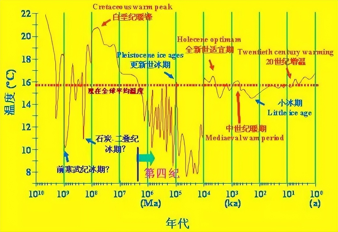 舌头是最强韧有力的肌肉，为什么人类不进化出用舌头打架？