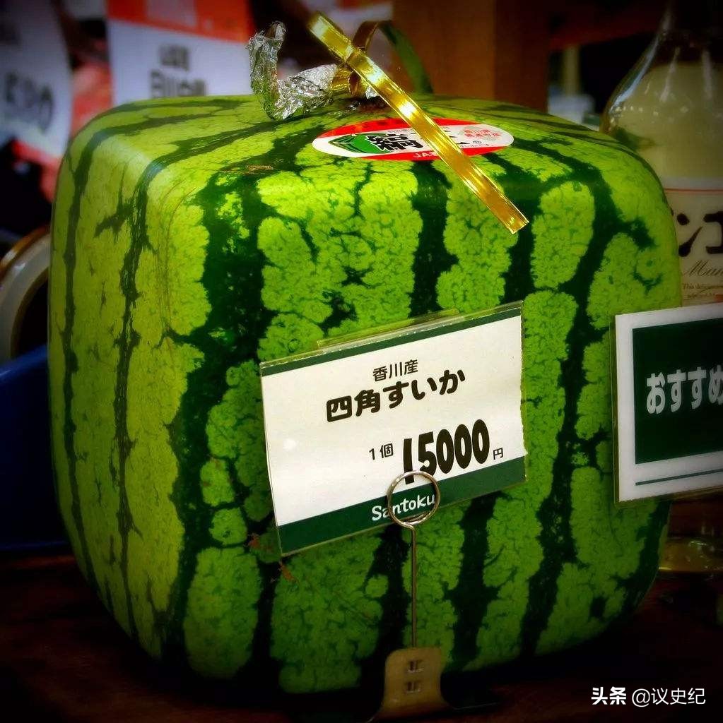 日本人租地闲置五年,日本人租1500亩地闲置