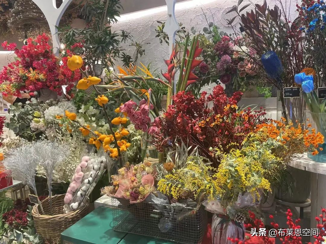 mdpi发展前景,mdpi有前景吗