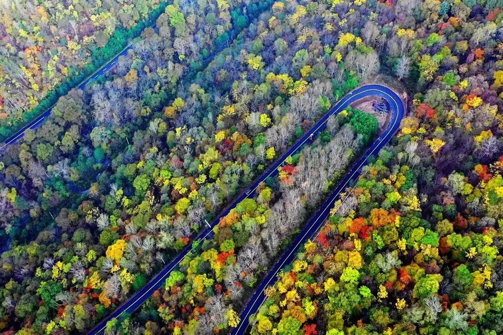 50块钱逛遍大连,50块钱逛沈阳