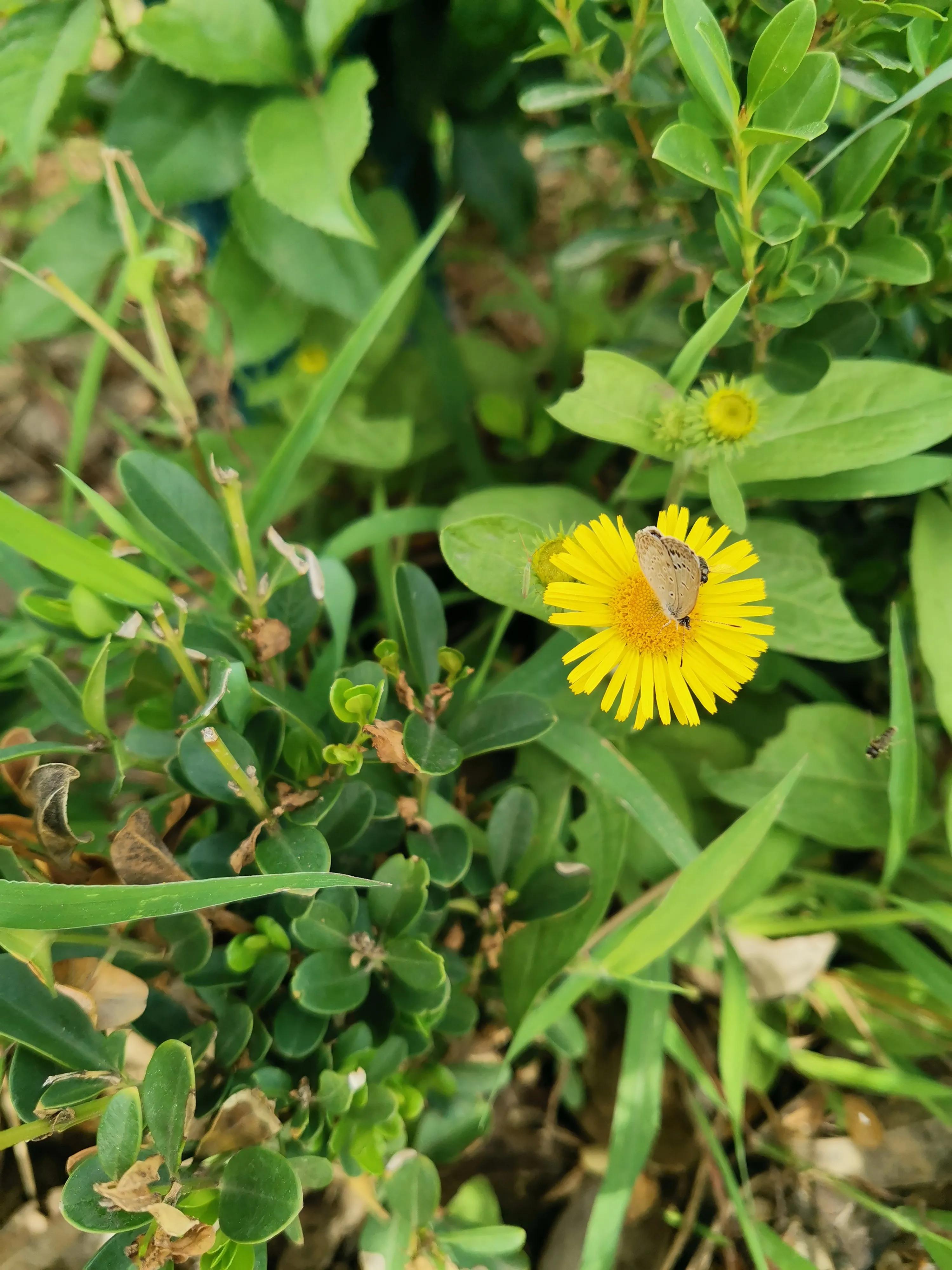 云水书法作品欣赏,云水堂楹联