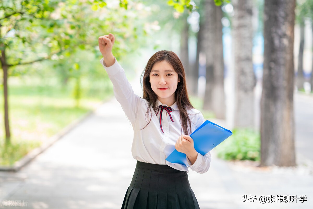 综合评价招生初中奖项算吗,综合评价招生潜规则