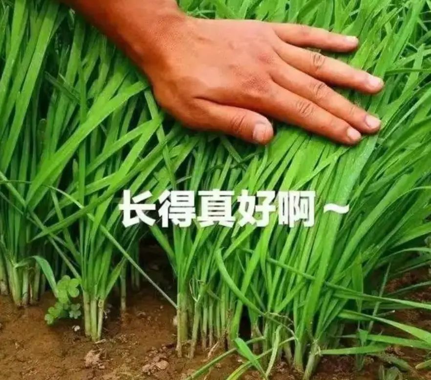 19岁很焦虑怎么办,处于焦虑状态该怎么办