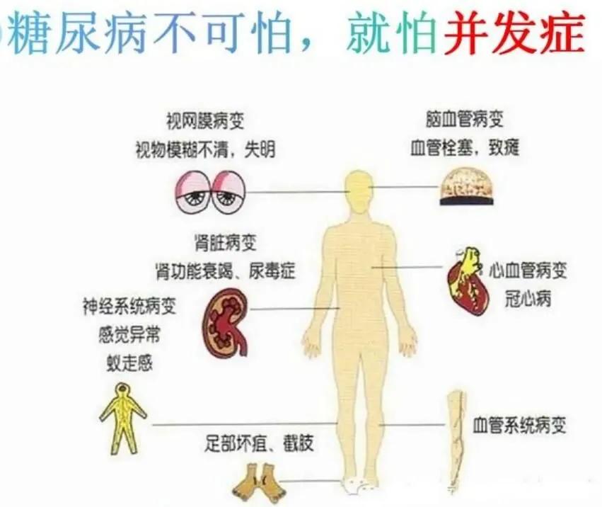 中药能有效治疗2型糖尿病,中药能否彻底治疗二型糖尿病