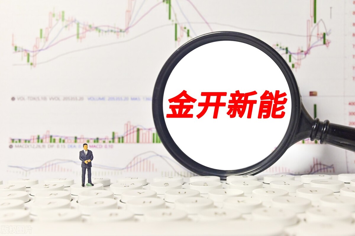 A股十大电力龙头股有哪些,a股十大行业龙头企业