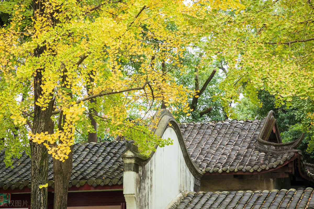 唐隆之变,唐隆之变到底有多厉害