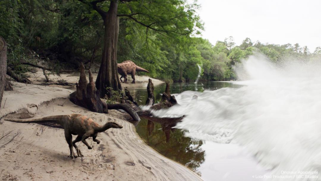 2022年十大必看大片,2022年最震撼视频