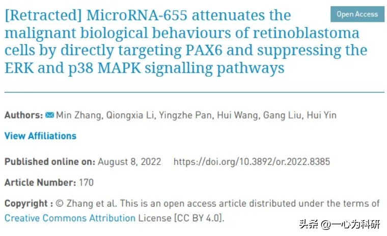 襄阳市第一人民医院2020,襄阳第一人民医院