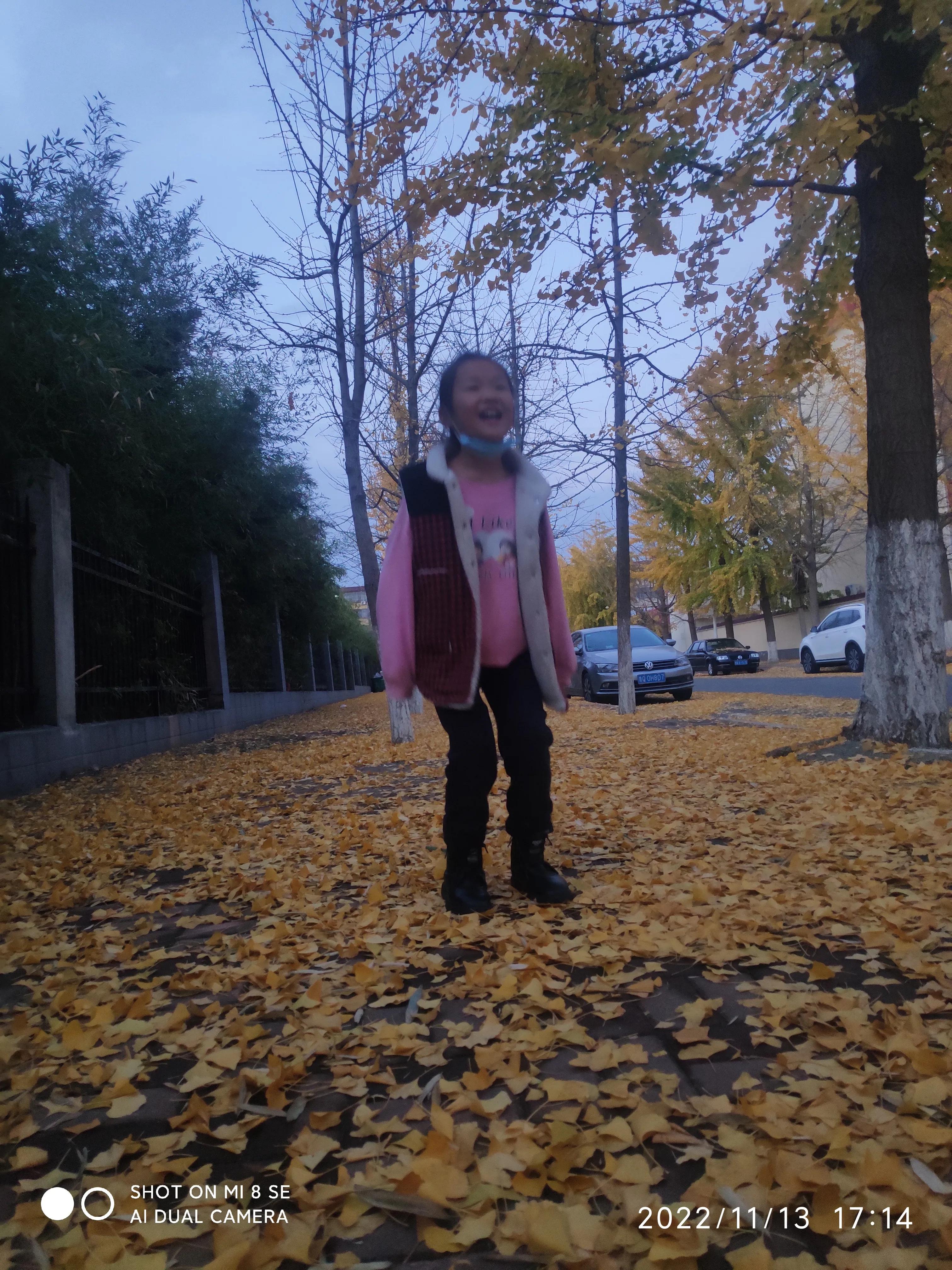 解封帖,解封记录怎么查