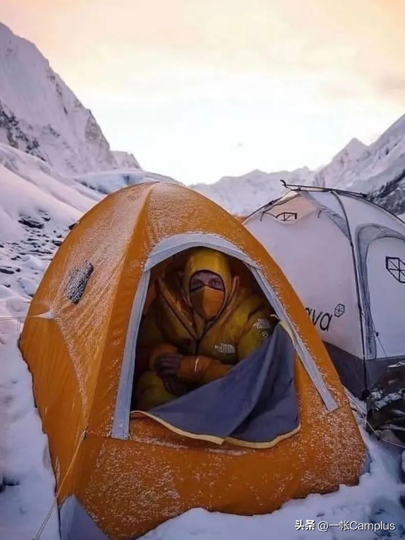 snowpeak发展史,snowpeak上海