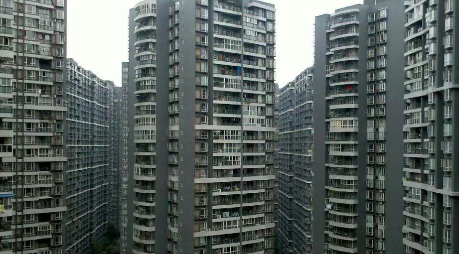 疫情这么严重你们敢买房吗,疫情过后这四类房子火了