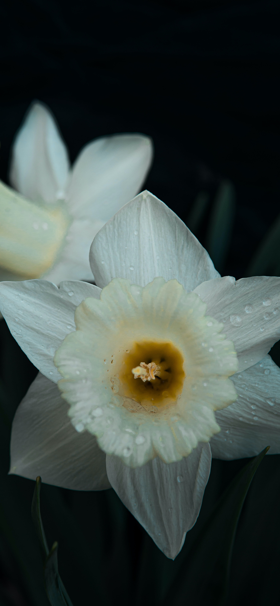 2023年手机壁纸,2023年最新款超清手机壁纸