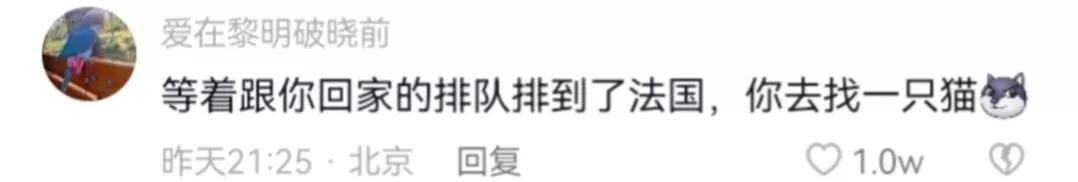 董宇辉何时脱单,董宇辉脱单到河北