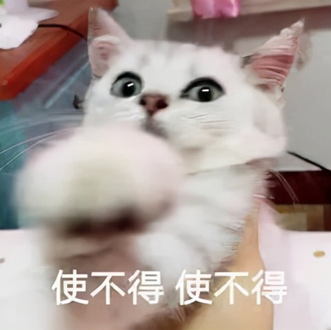 冬天运动减肥更有效吗,夏天减肥运动快速燃脂