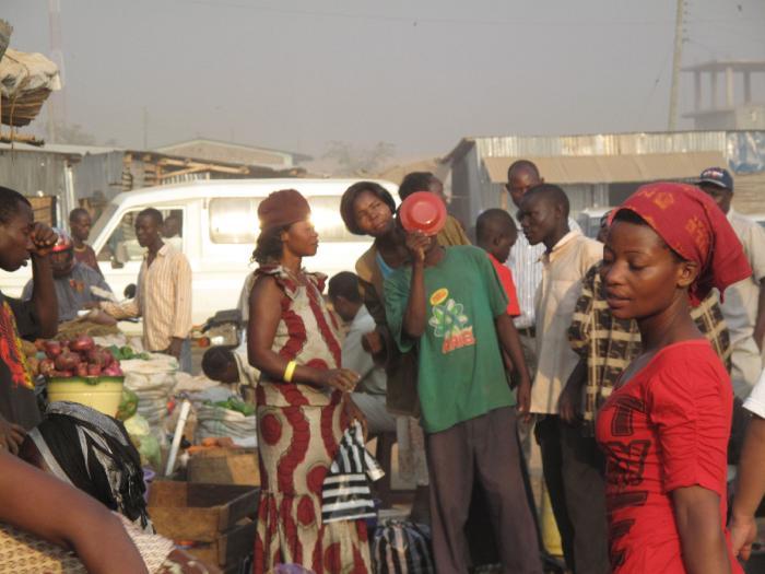 非洲入侵而来的大蜗牛，在我国泛滥成灾，吃货们却无从下嘴