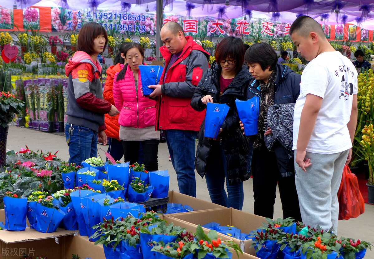 花卉批发市场有哪些种类,花卉批发前景
