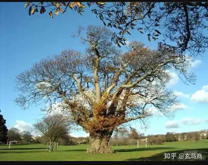 山海经2012白话全译彩图版pdf,山海经海外西经是指哪里