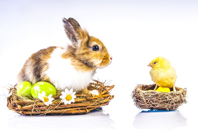 朋友只要真心就够了,朋友之间只要真诚一点的句子