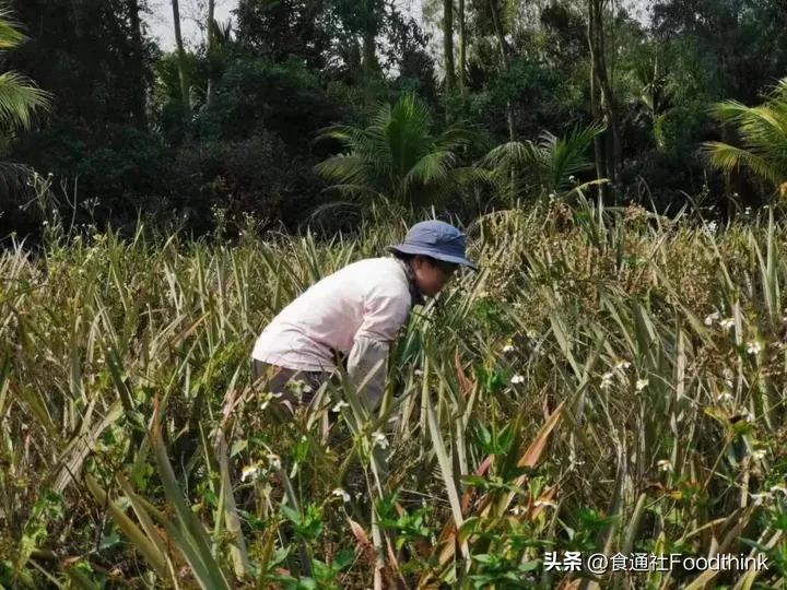 21个年轻人踏上了chatGPT也想象不到的旅程