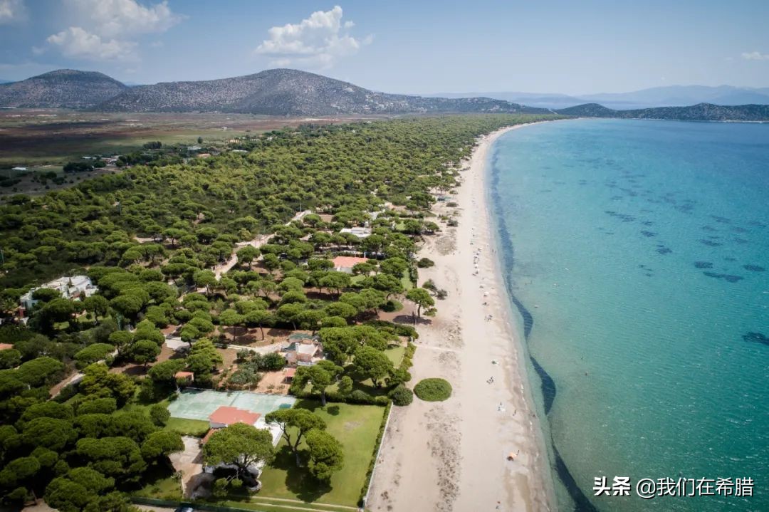 希腊人平均寿命,希腊人均寿命