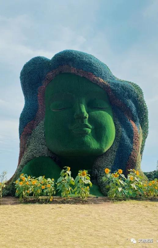 原来，在社交平台中，肥西的真实风景是这样的