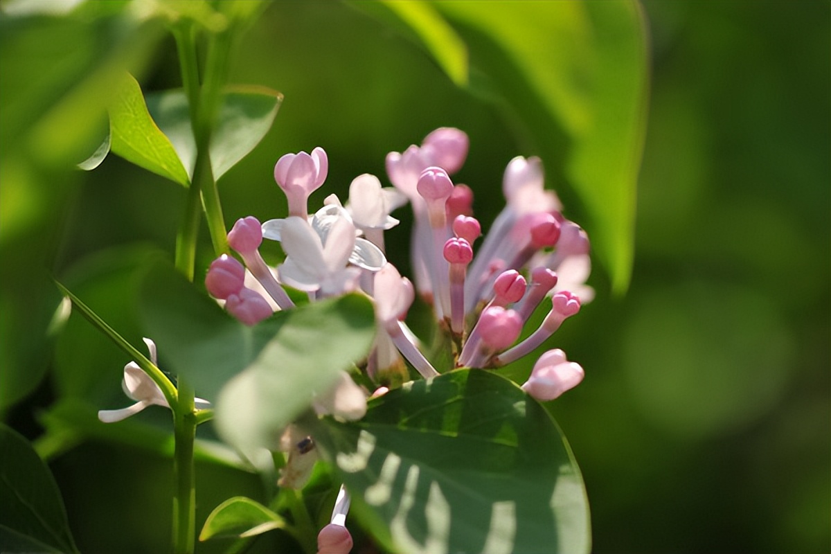 龚静：“鸽子笼”和通往自己的路