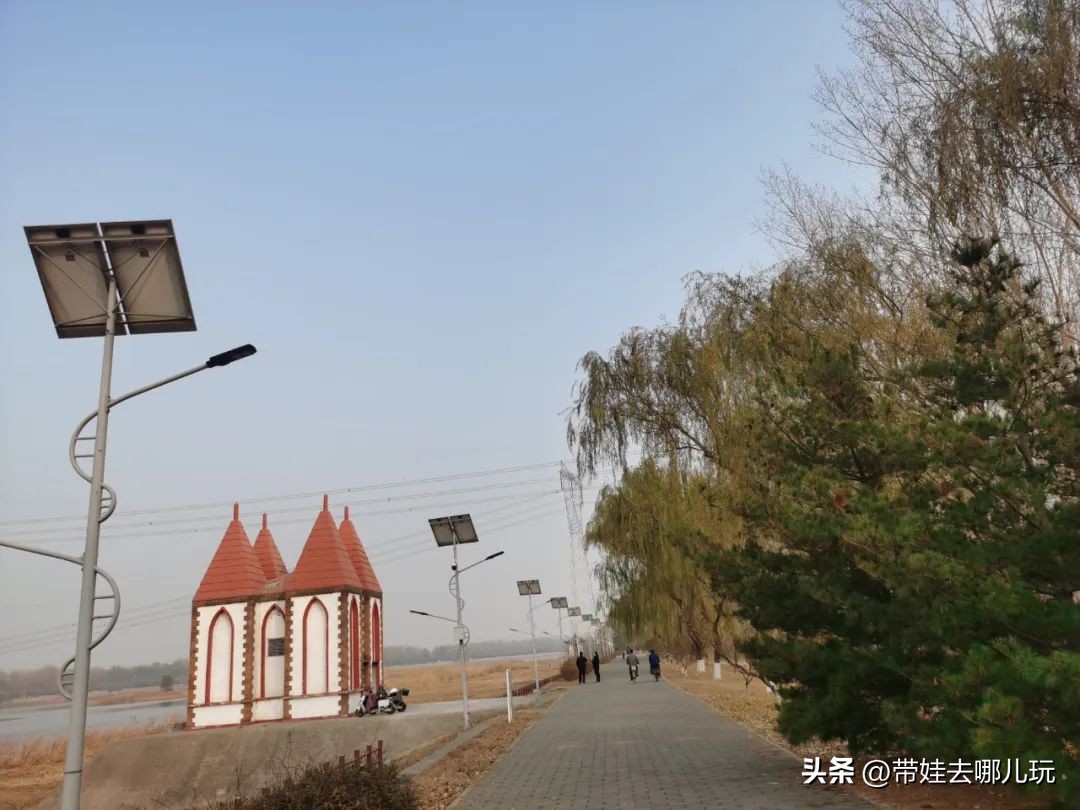 在森林公园里玩耍,中国可以骑行的森林公园