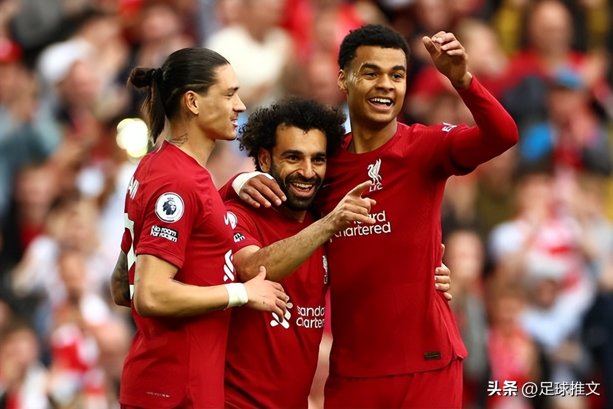 蓝狐莱斯特城夺冠,蓝狐保级