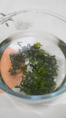 什么东西的钙含量是牛奶的十几倍,钙含量比牛奶还高的食物