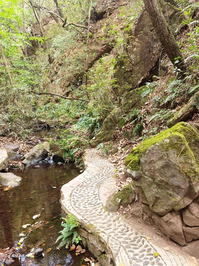 昆明青龙谷生态旅游,昆明市青龙峡风景区