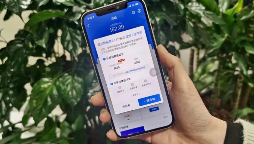 盗用他人花呗多少被立案,使用别人花呗犯法吗