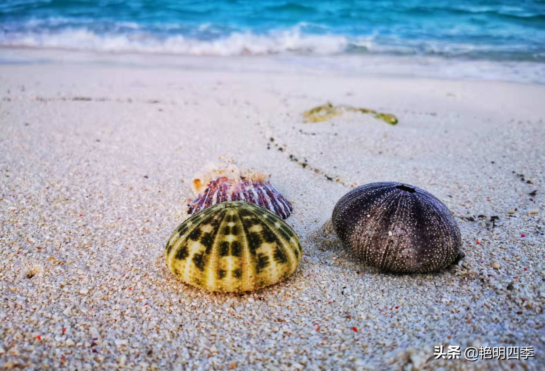西沙群岛南海之梦游轮,西沙群岛南海之梦游轮视频