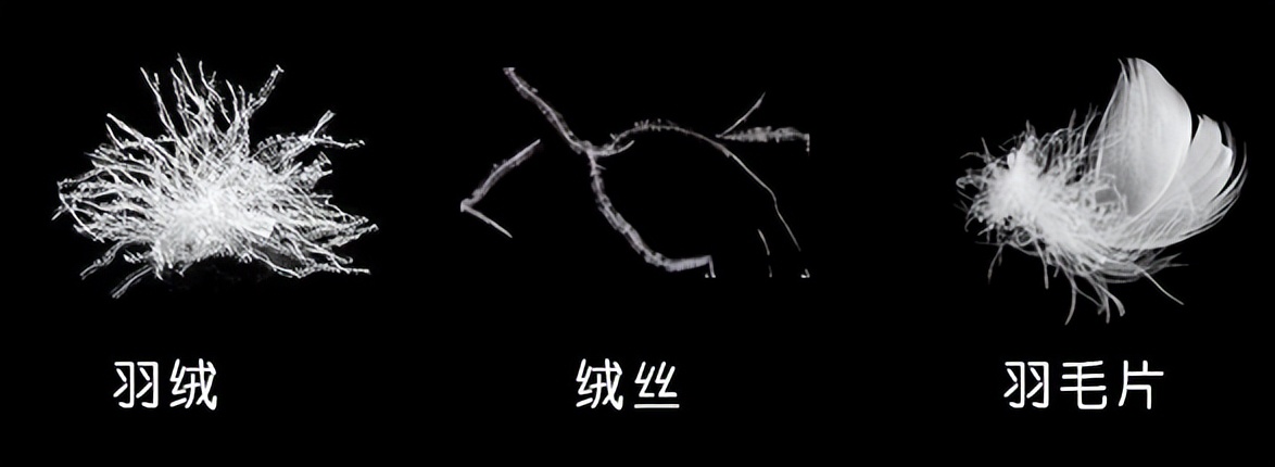 在哪里能买到正宗羽绒被,在哪能买到正品羽绒被